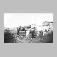 022-0262 Ewald Zimmermann, Goldbach mit seinen Kindern bei den Pferden..jpg